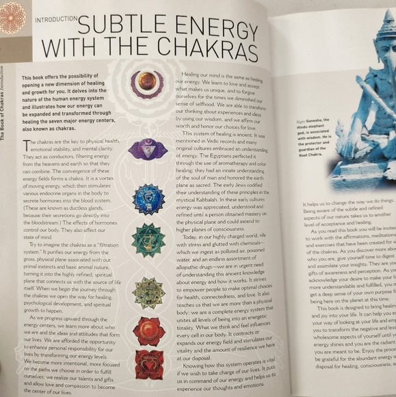 The Book of Chakras - Picture 9 of 9